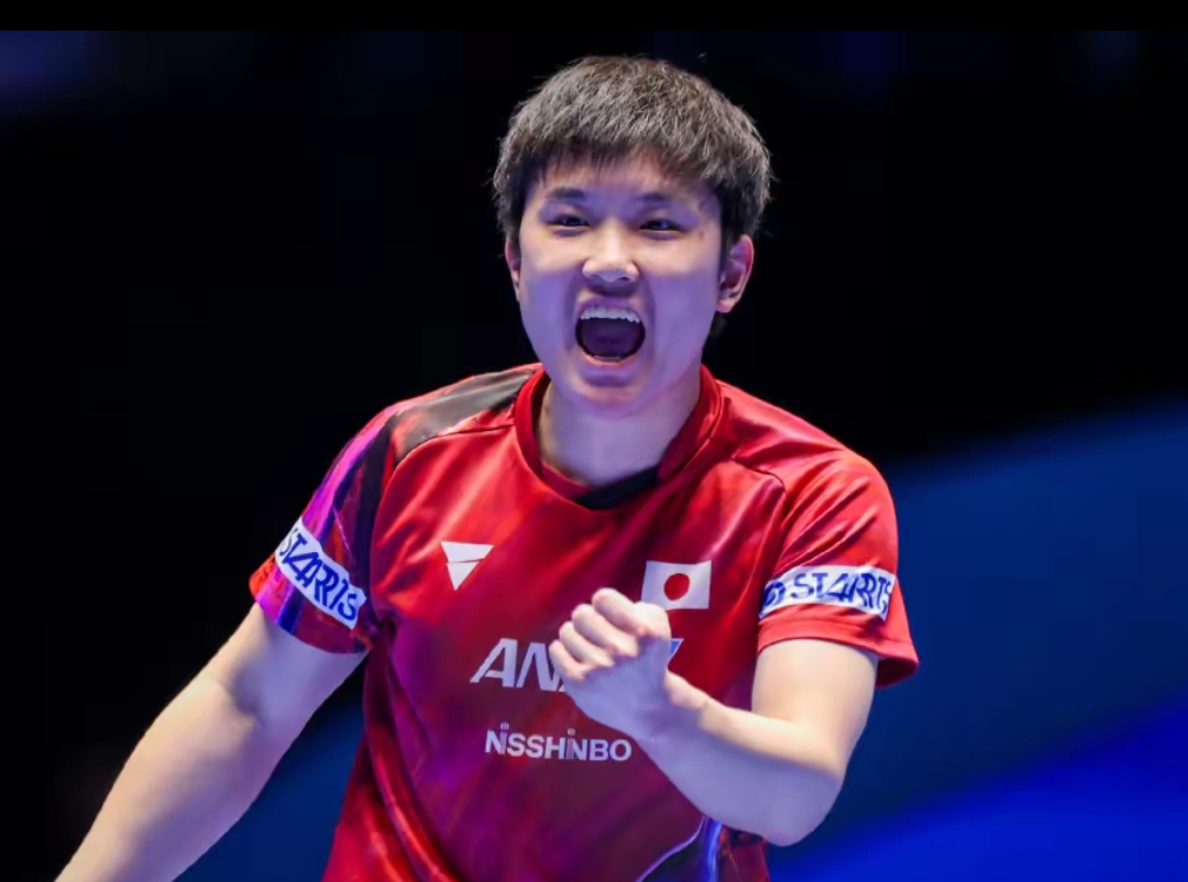 了坚实的基 了坚实的基