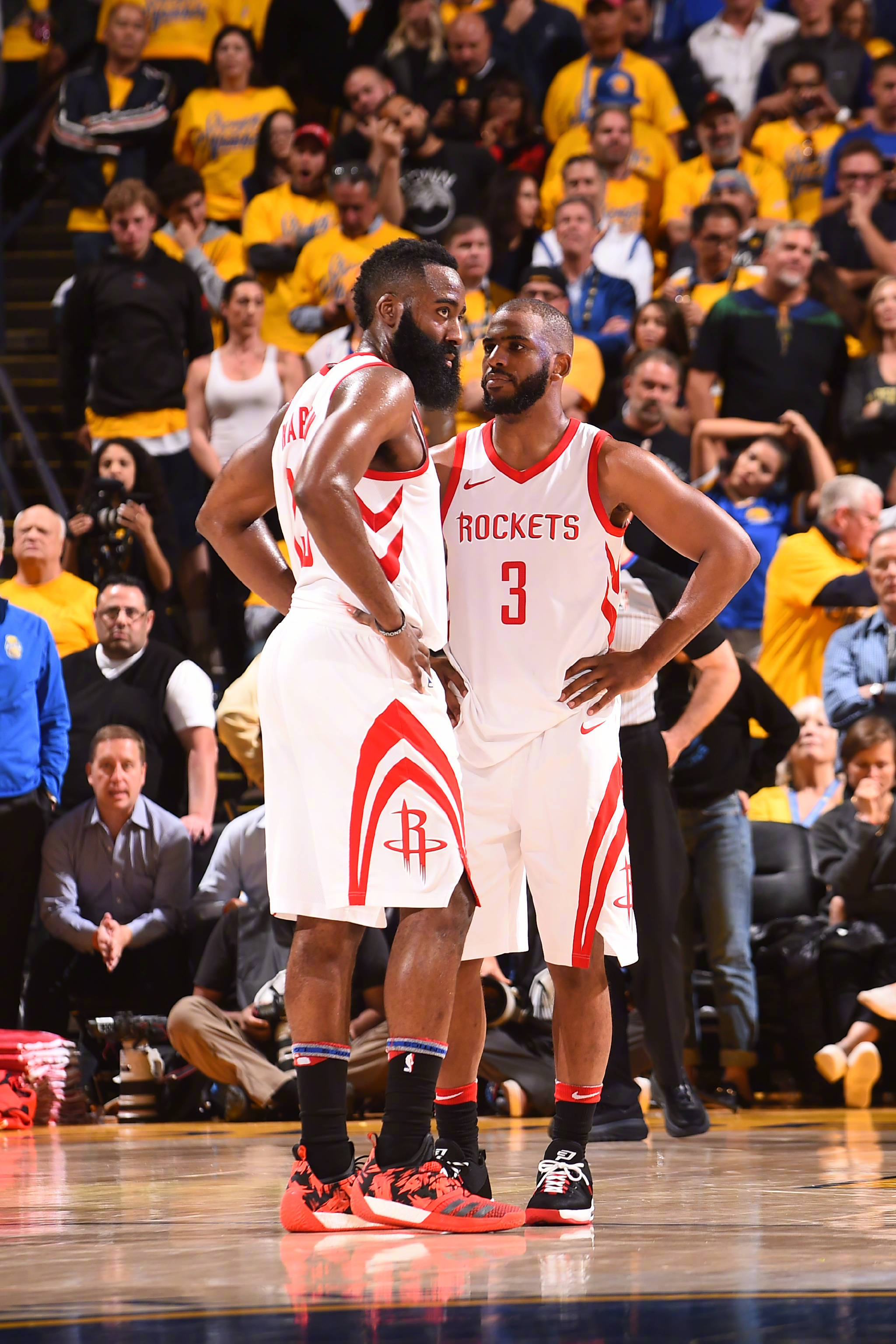 很可能已经 很可能已经