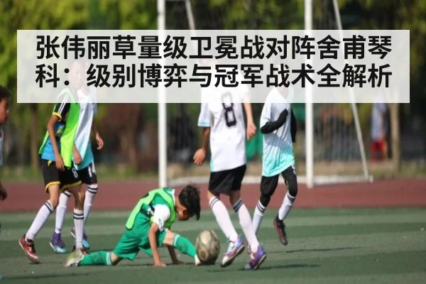 张伟丽草量级卫冕战对阵舍甫琴科：级别博弈与冠军战术全解析